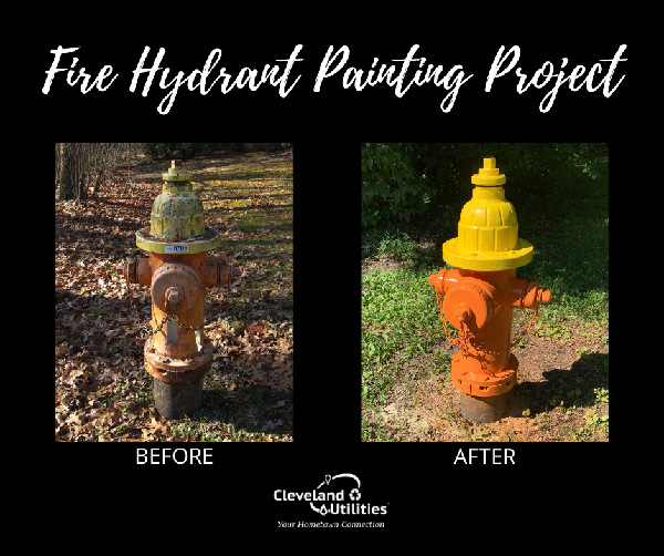 Fire Hydrant Painting Project